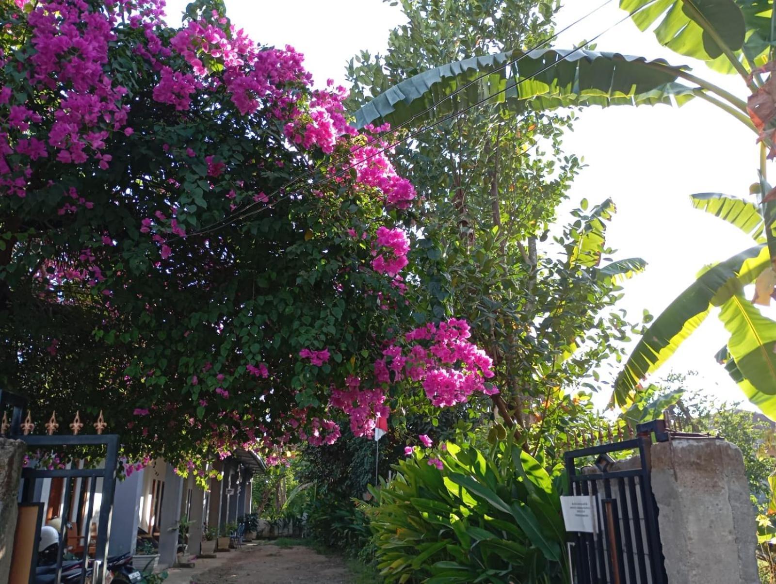 Wl Guesthouse Labuan Bajo Extérieur photo