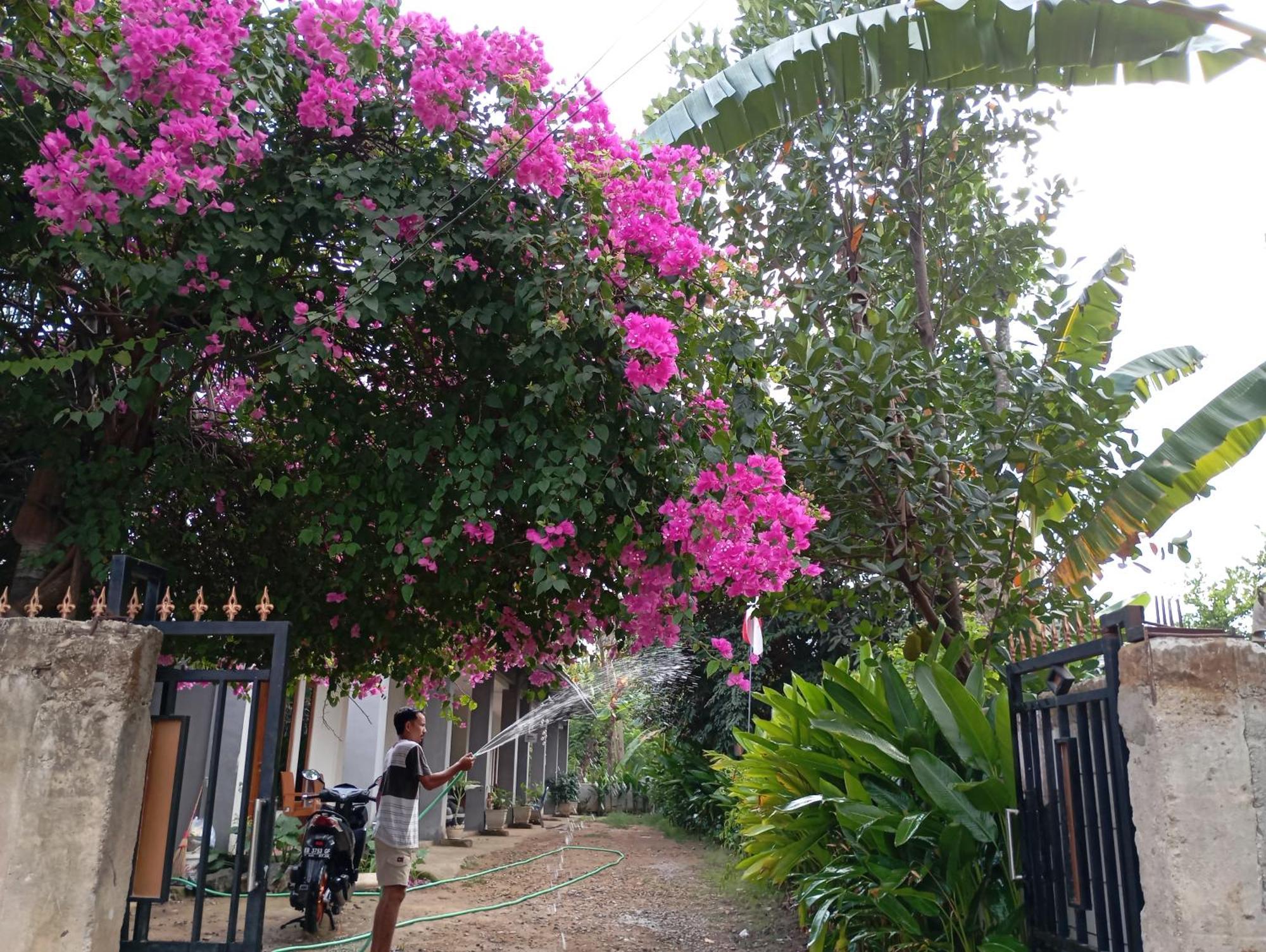 Wl Guesthouse Labuan Bajo Extérieur photo