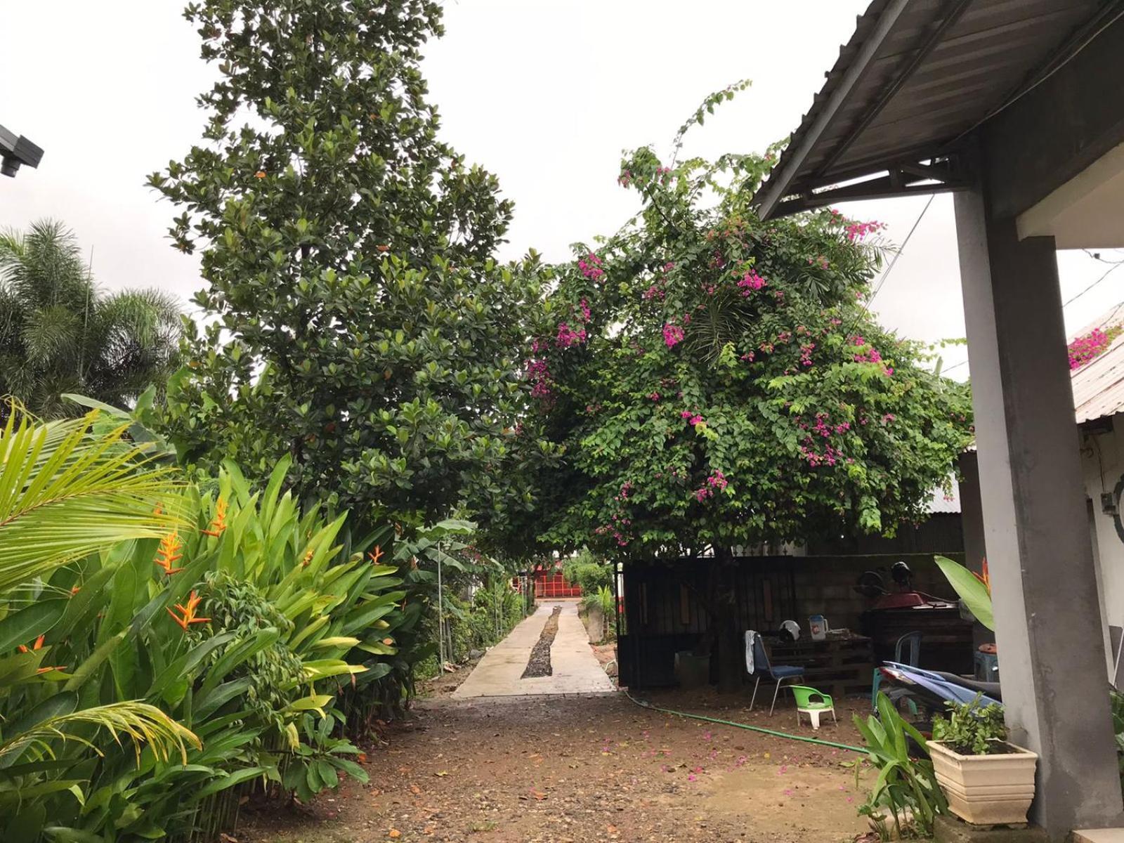 Wl Guesthouse Labuan Bajo Extérieur photo