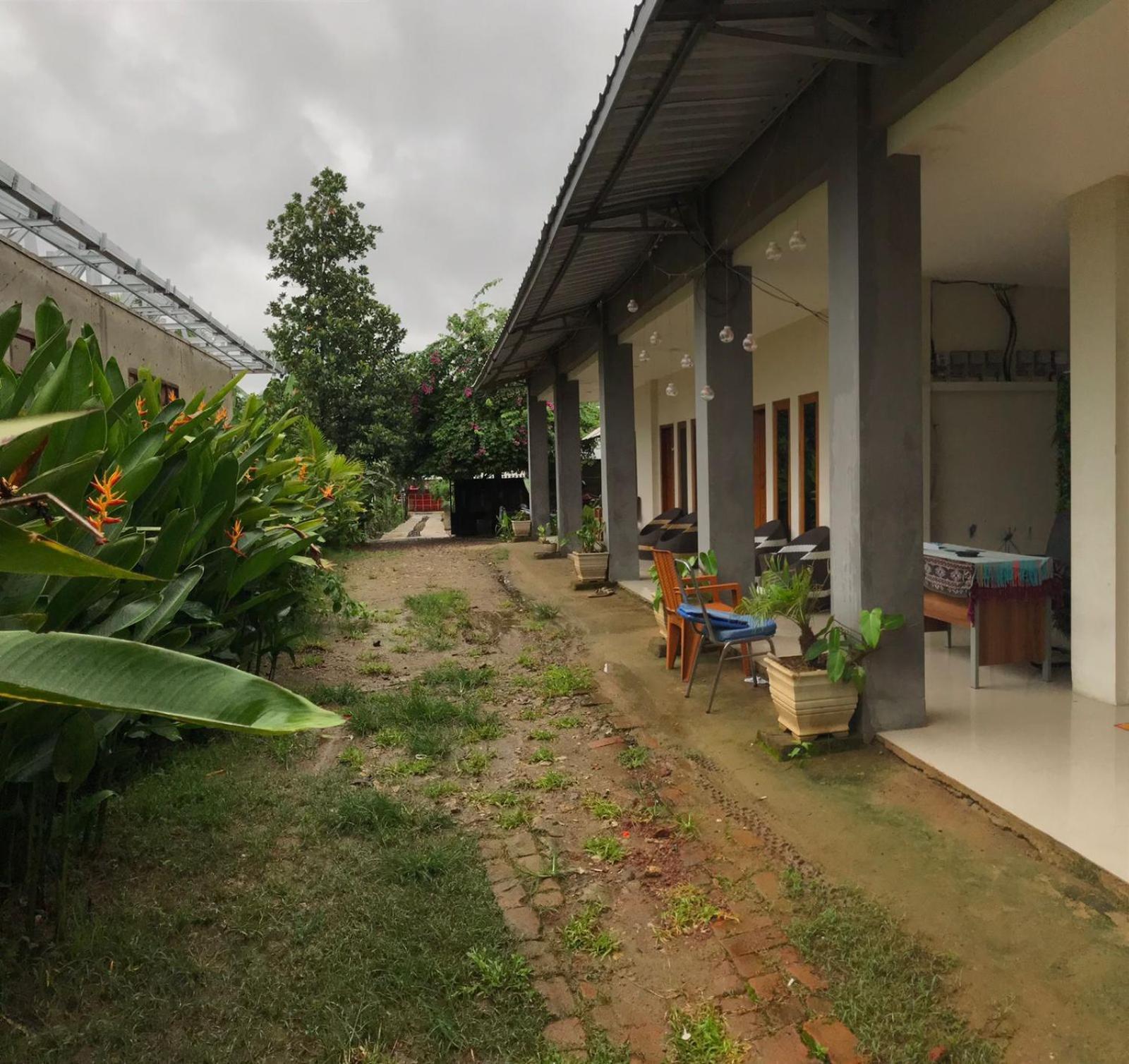 Wl Guesthouse Labuan Bajo Chambre photo